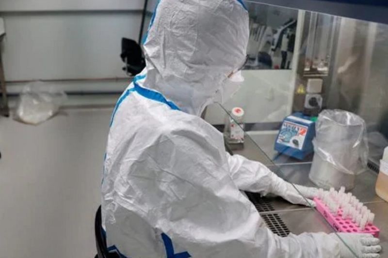 Coronavirus, è ufficiale: primi due casi accertati in Italia