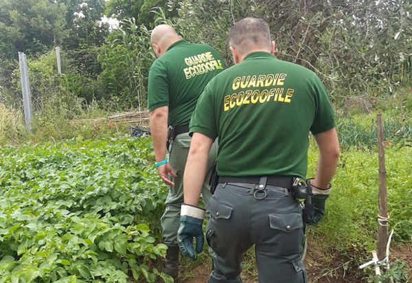 Cagliari, aperte le iscrizioni per il corso di aspiranti guardie eco-zoofile