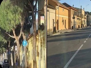 Strage verde a Elmas, giù tutti gli alberi in via del Pino solitario: “Ecco com’è adesso”