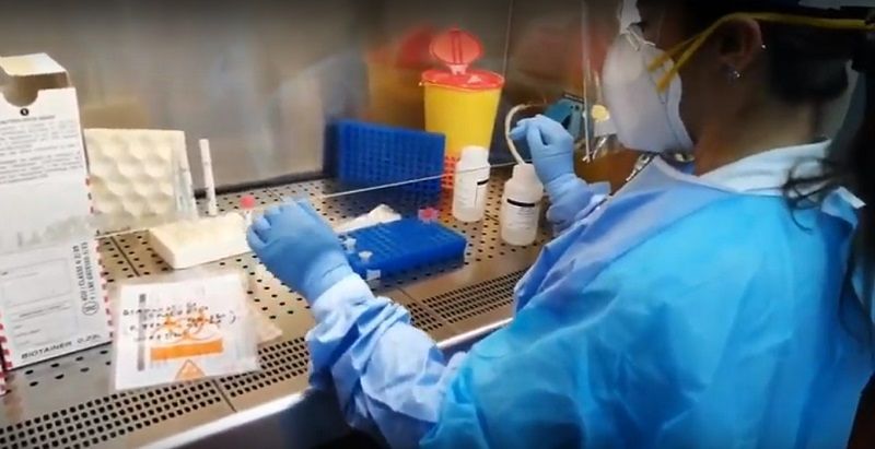 Sassari, un’arma in più nella lotta al coronavirus: il dono della comunità cinese