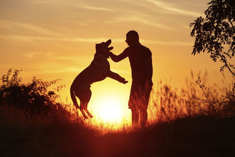 “Covid-19, gli unici senza colpa sono gli animali: troppe fake news sul web”
