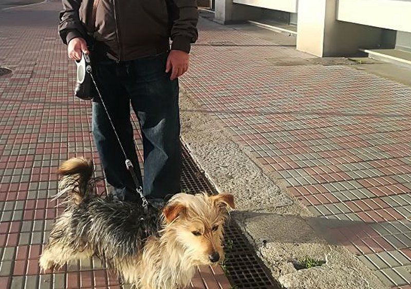 Coronavirus, Truzzu chiude le aree cani a Cagliari: passeggiate al guinzaglio entro 200 metri da casa