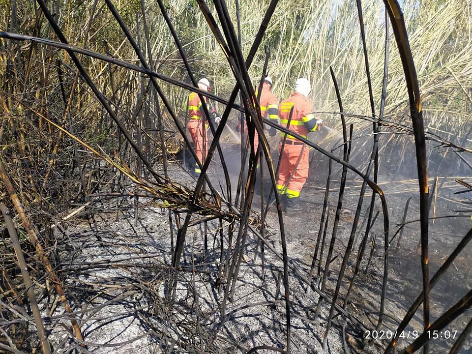 Sant’Antioco, canneto divorato dalle fiamme: “Incoscienti e stupidi ancora in azione”