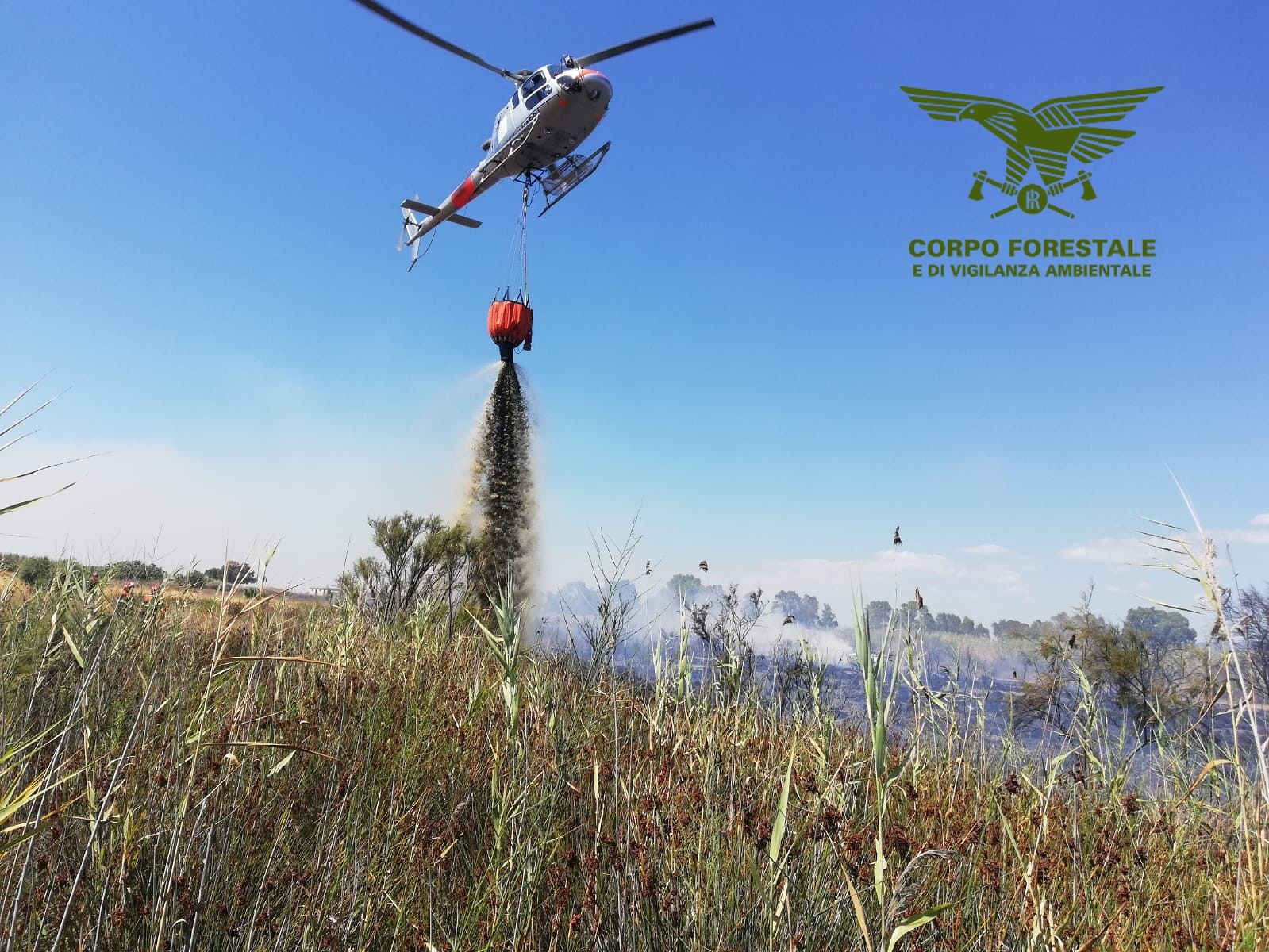 Vasto incendio nelle campagne di Carbonia, interviene l’elicottero della forestale