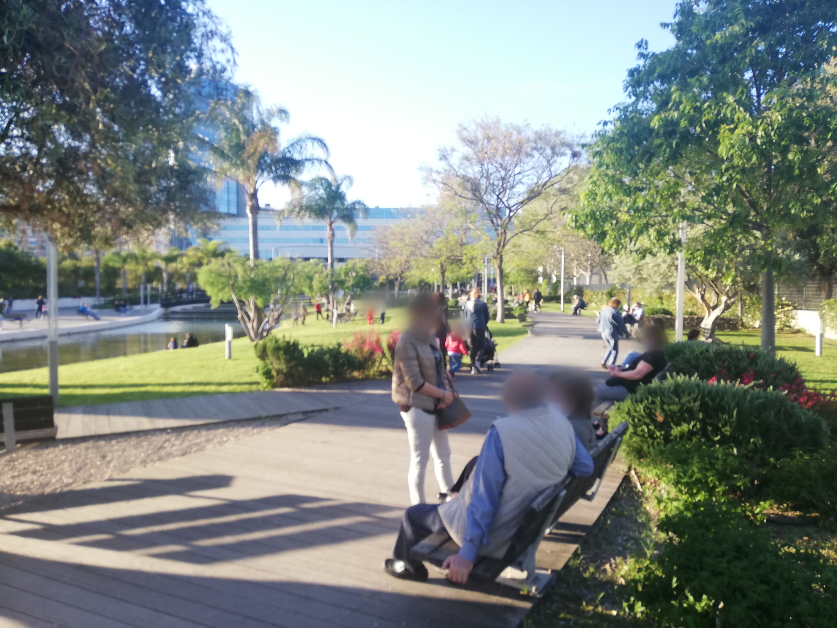 Cagliari, distanze queste sconosciute: 3 sulla panchina e selfie ravvicinati al Parco della Musica