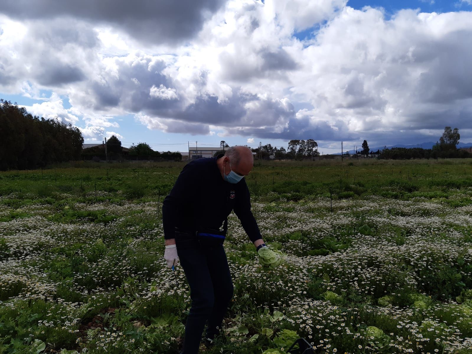 Sardegna, i volontari dell’Unitalsi impegnati nella raccolta di verdure e ortaggi per i bisognosi