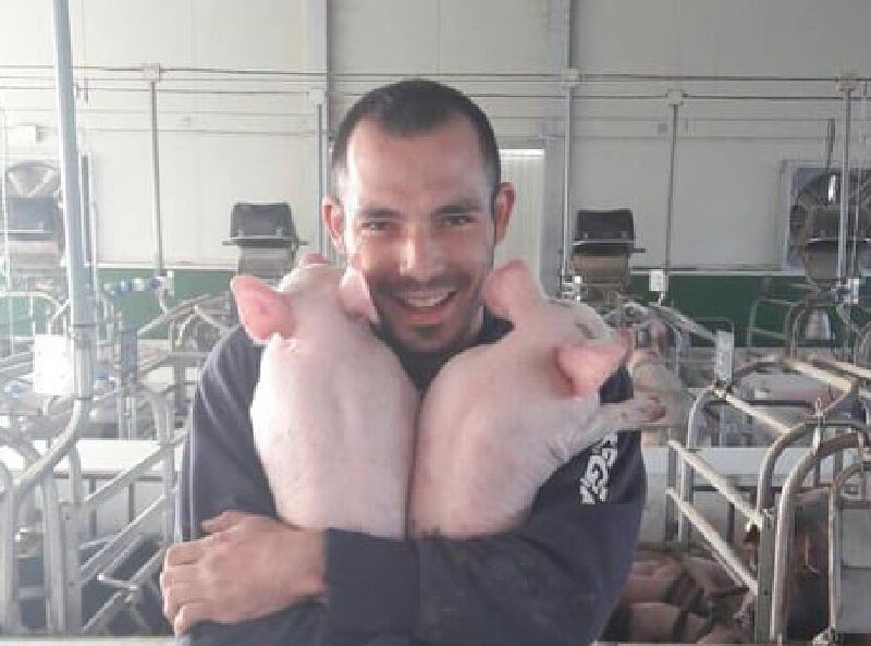 Marco, allevatore sardo in crisi: “Non potrò più comprare il cibo per i miei maiali”