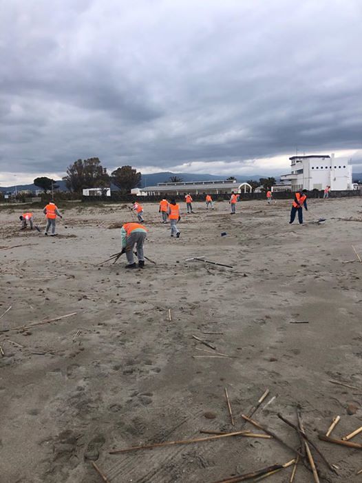 Cagliari, Poetto pronto a riaprire: via dalla spiaggia 35 tonnellate di canne