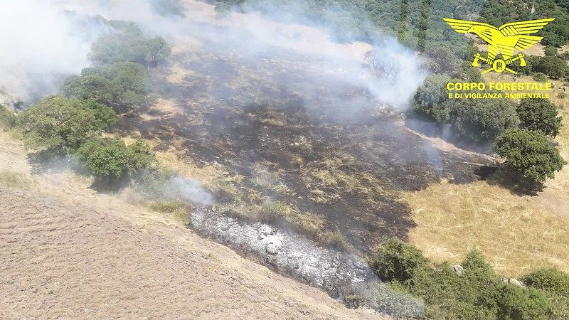 Sardegna nel fuoco, 24 incendi distruggono boschi e pascoli da nord a sud