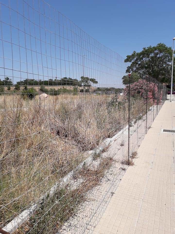 Quartucciu, la protesta: “Erbacce alte e secche, rischio incendi nel quartiere I Giardini”