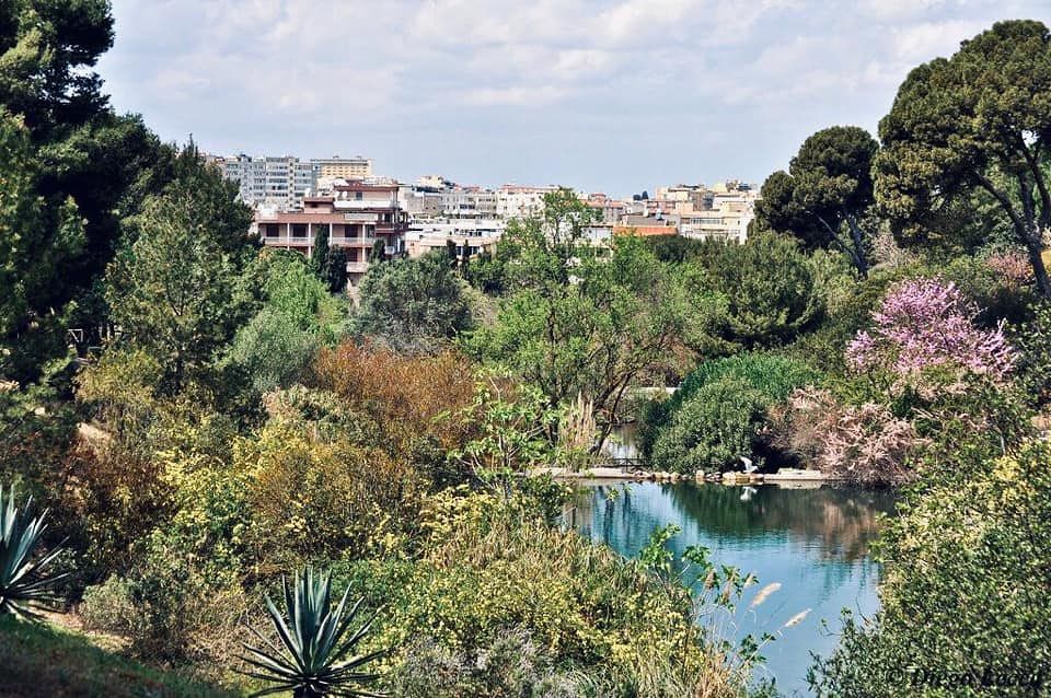 L’annuncio di Truzzu: “Cagliari candidata a Capitale europea del verde nel 2023”