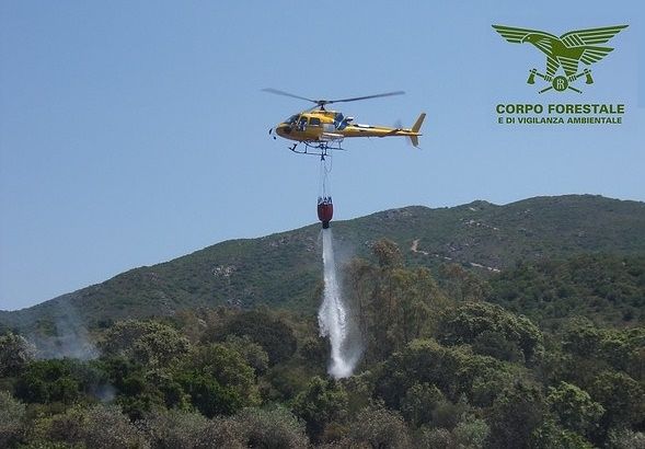 Fiamme al Castello di Burgos, due elicotteri della forestale sul posto