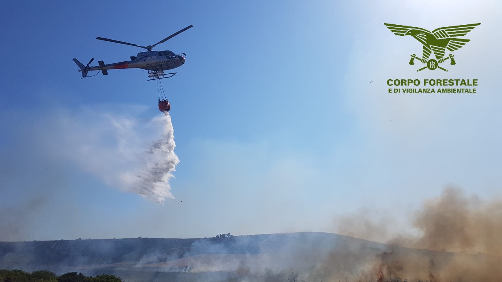 Fiamme a Talana, forestali in azione