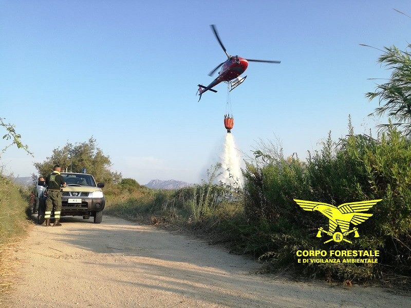 Un’altra giornata di fuoco in Sardegna: oggi venti roghi