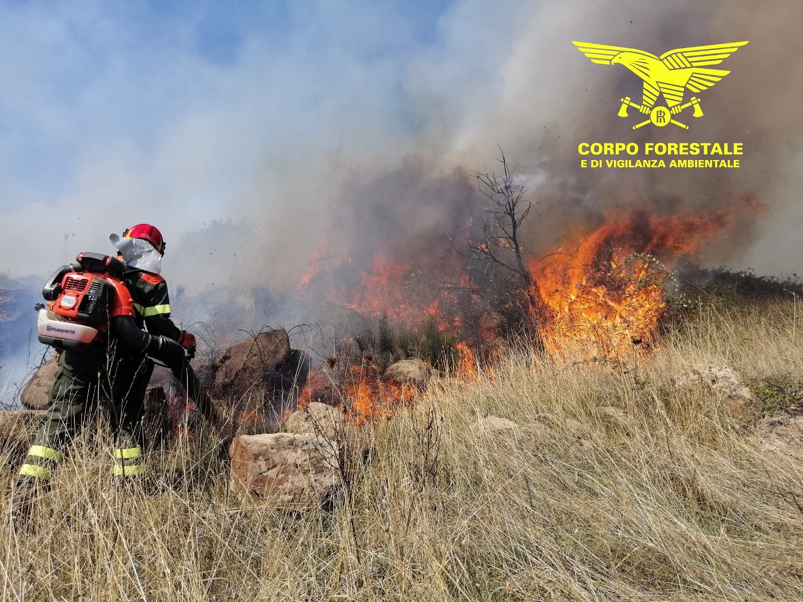 Giornata di fuoco in Sardegna, scoppiati oggi 23 incendi