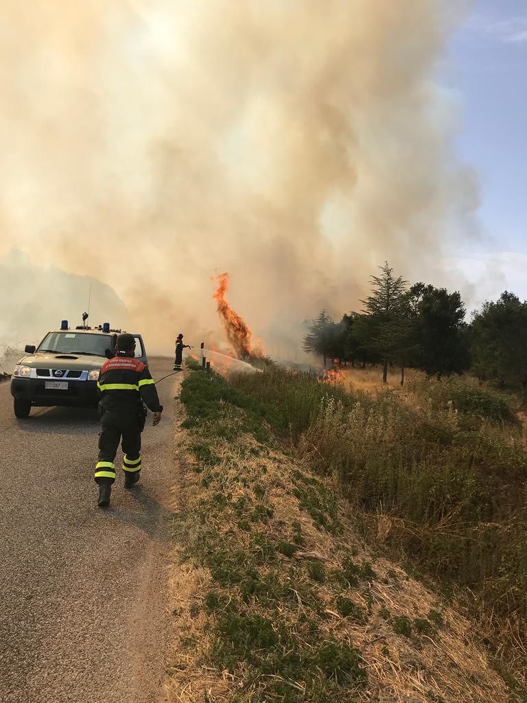 La Sardegna continua vergognosamente a bruciare: sei elicotteri in azione per domare i roghi
