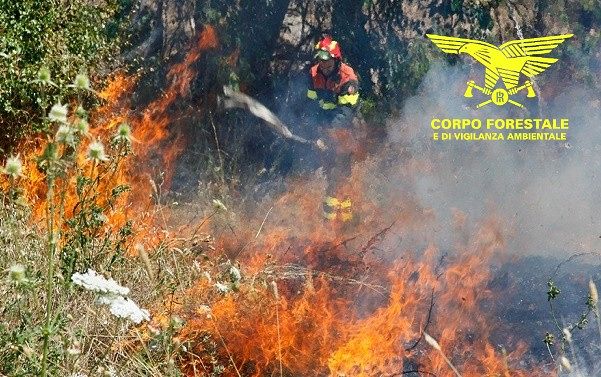 Il fuoco assedia l’Isola, 27 incendi oggi in Sardegna