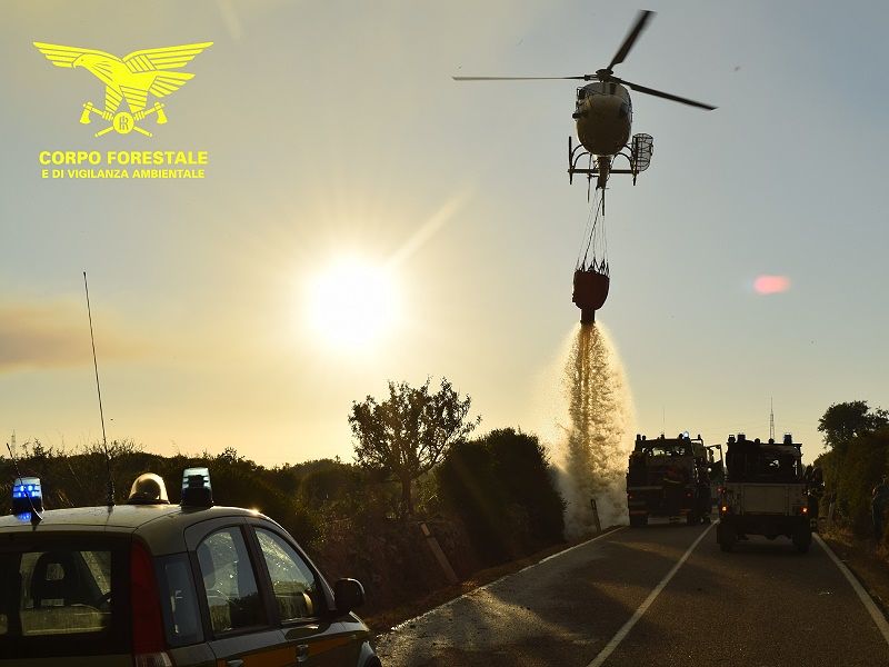 Quattordici incendi inceneriscono alberi e verde in Sardegna: maxi roghi a Macomer, Escalaplano e Loiri Porto San Paolo