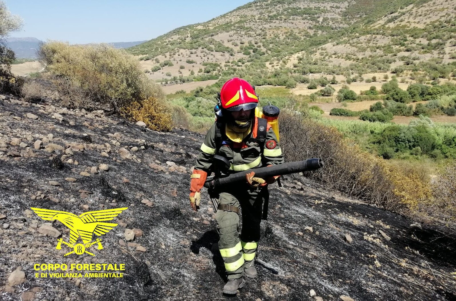 Fiamme a Macomer, incendio nelle campagne: elicottero del Corpo forestale in azione