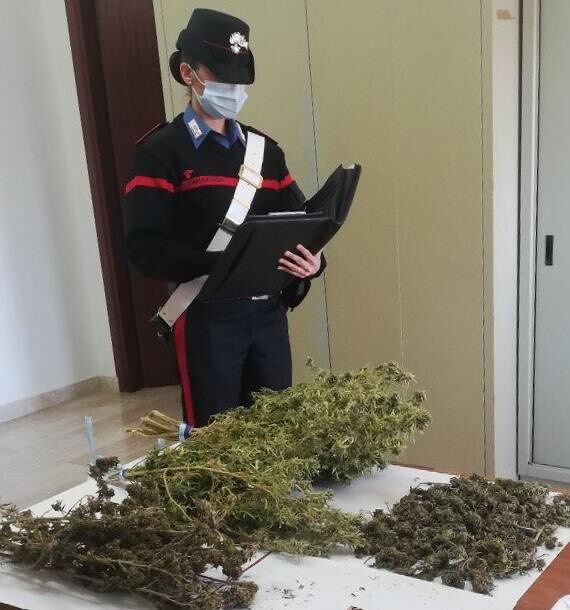 I carabinieri trovano in casa un chilo di marijuana: nei guai 41enne a Guasila