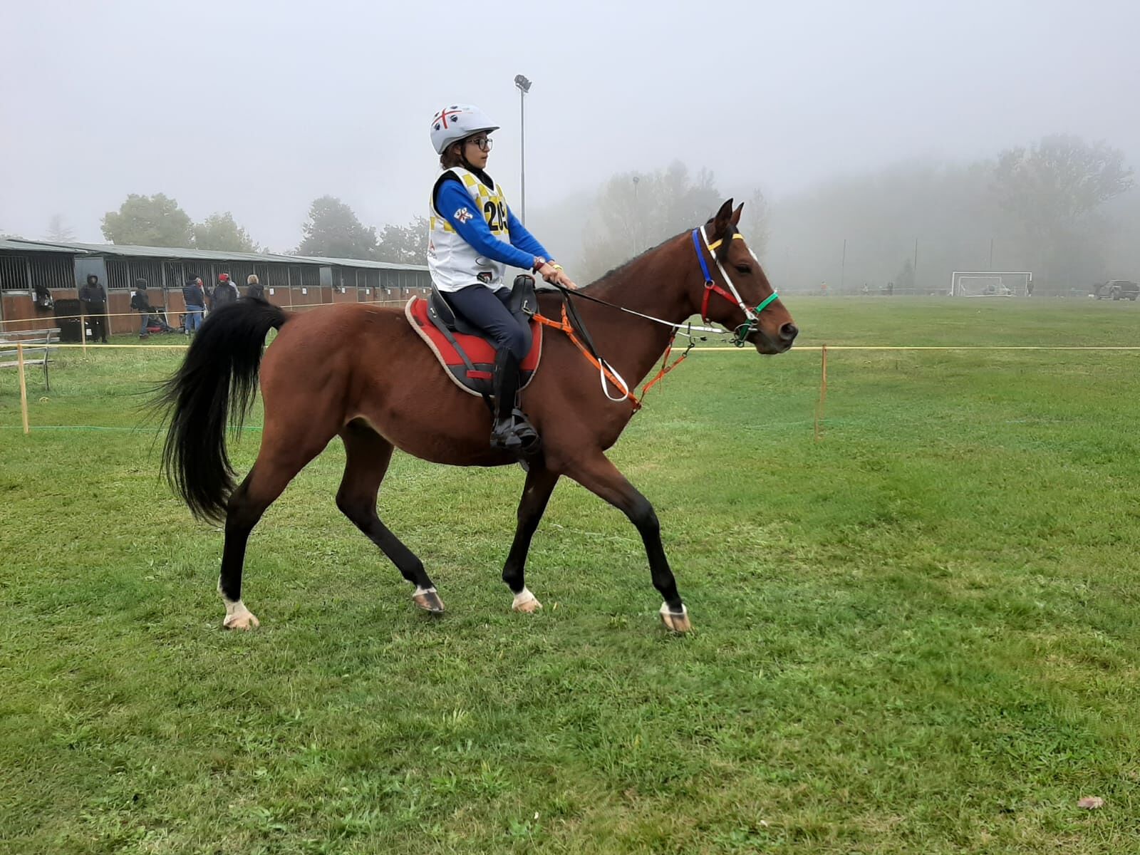 Pony Endurance, il titolo italiano va in Sardegna alla giovanissima Claudia Delinna