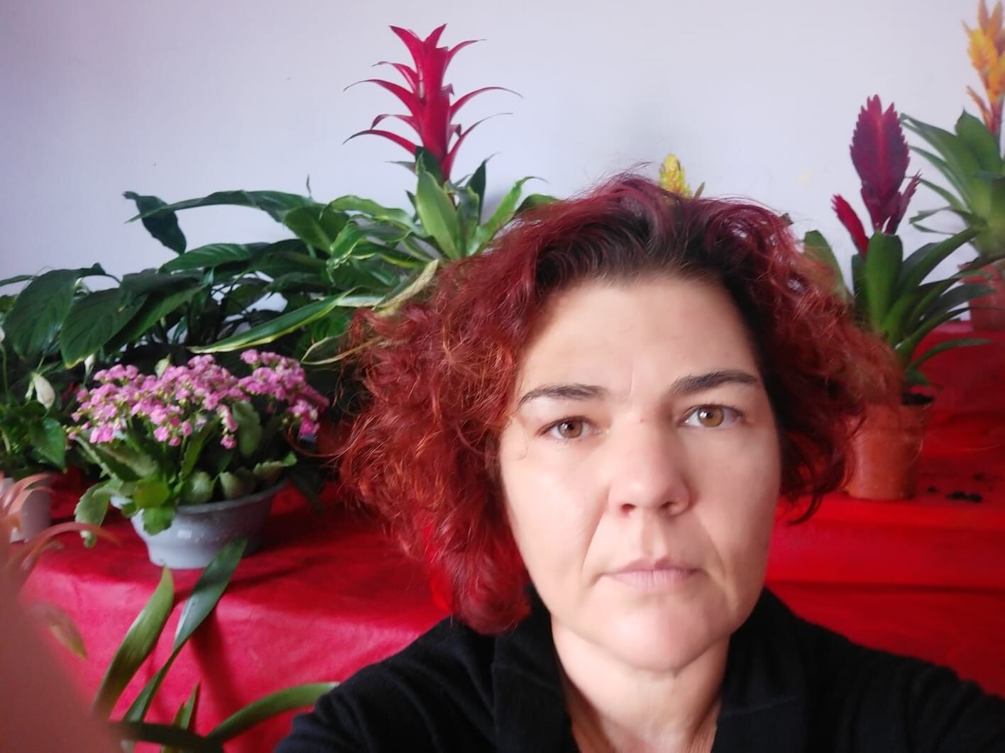 “Fiori già acquistati, 6mila euro spesi: se Solinas blocca tutto per me sarà la botta finale”