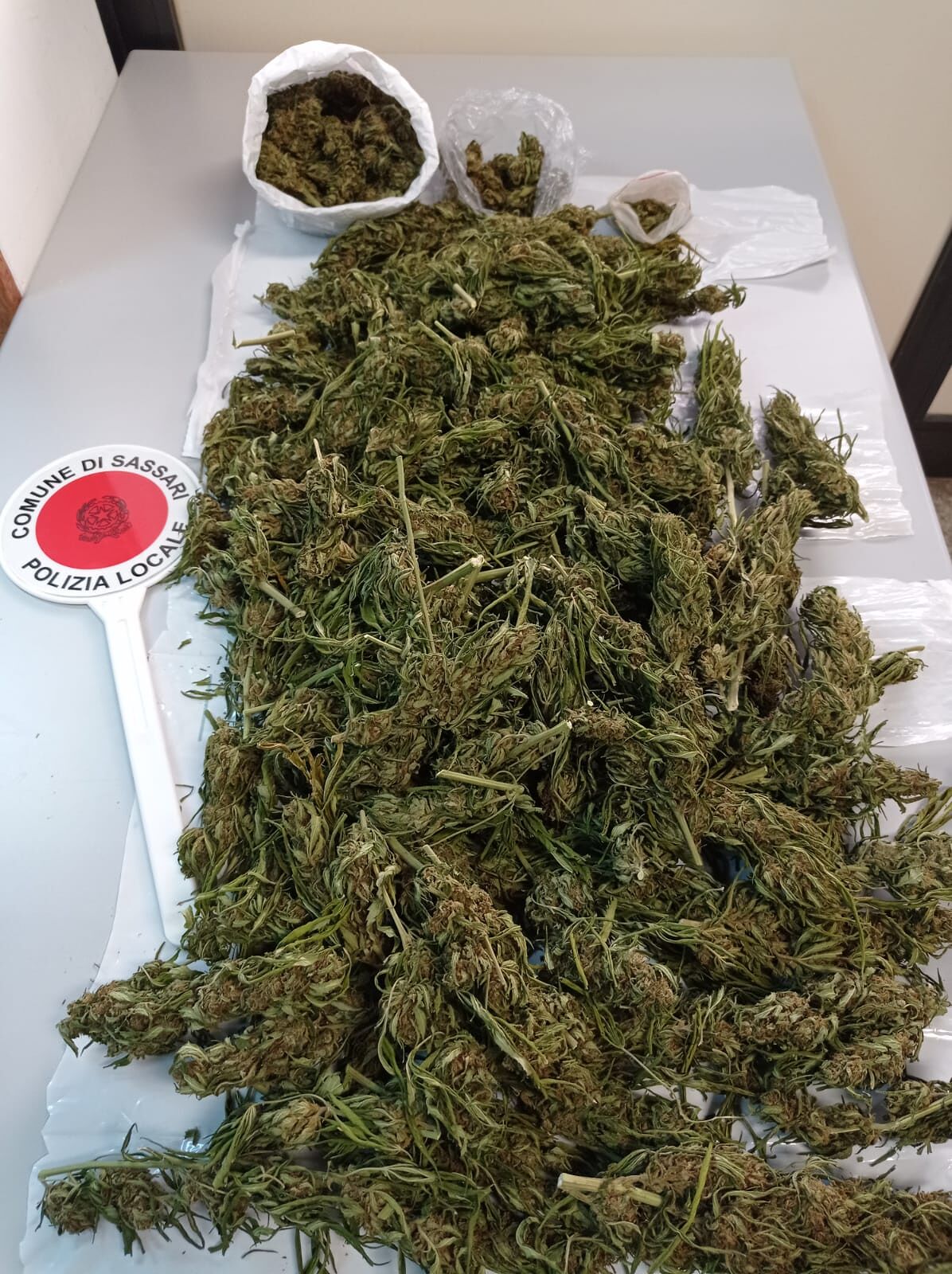 Sassari, il fiuto del cane scopre più di un chilo di marijuana: arrestato