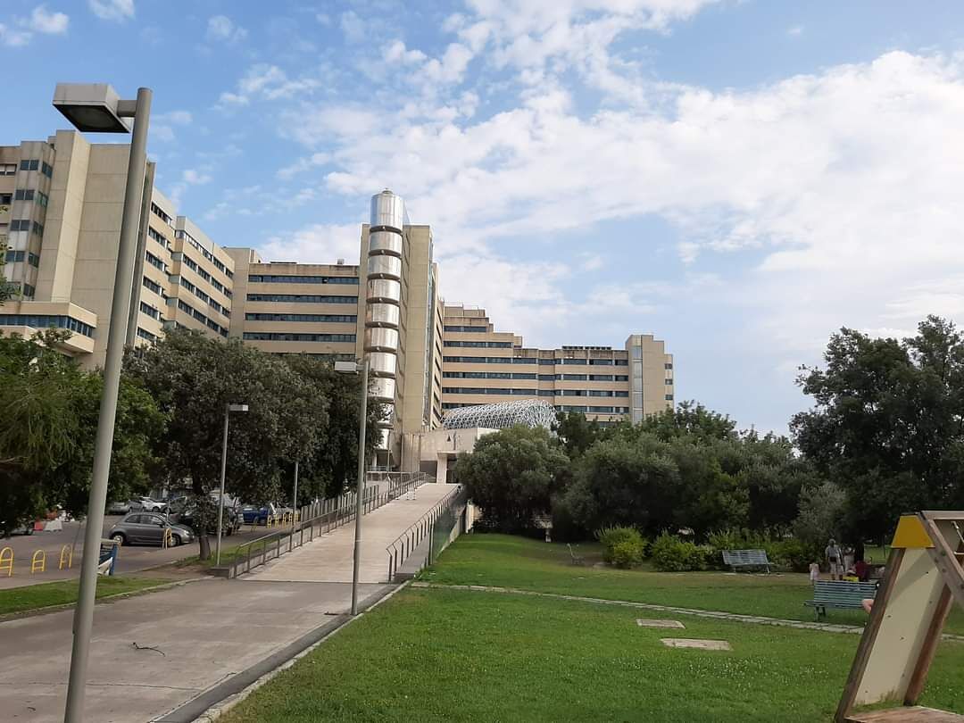 Cagliari, trapiantati furiosi: “Il Brotzu libero dal Covid, assumete più medici e infermieri”