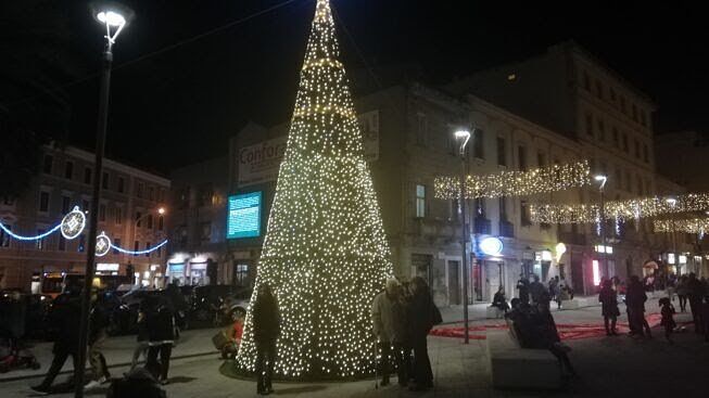 Cagliari, il Covid non ferma il Natale: luminarie nelle vie e maxi albero in piazza Garibaldi 
