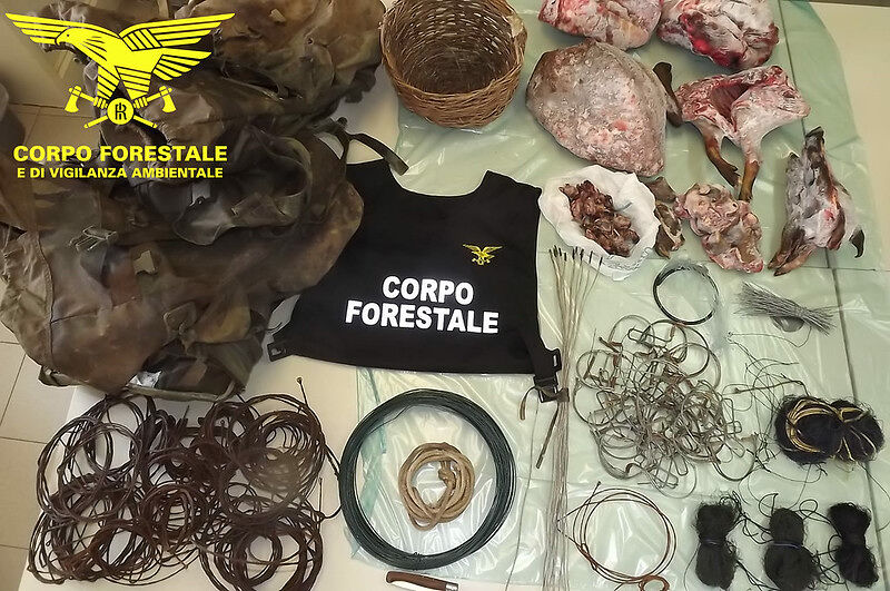 Cattura di cervi e cinghiali nel Parco, due bracconieri denunciati a Capoterra