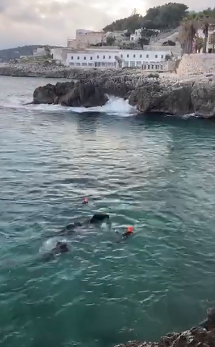 Cavallo disarciona il cavaliere e finisce in mare: salvato dai pescatori e dai Vigili del Fuoco