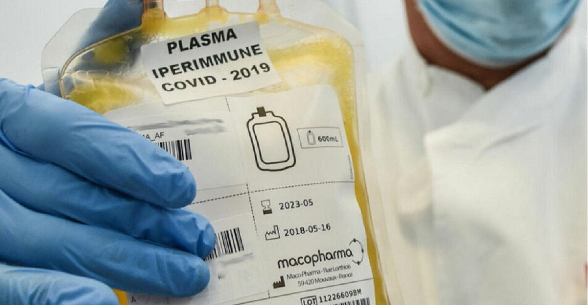 Covid, prima trasfusione col plasma iperimmune di un sardo su un paziente: “Nuova speranza”