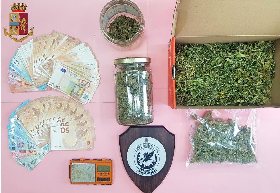 In casa 250 grammi di marijuana, 4 mila euro e una serra indoor: pusher in manette a Cagliari