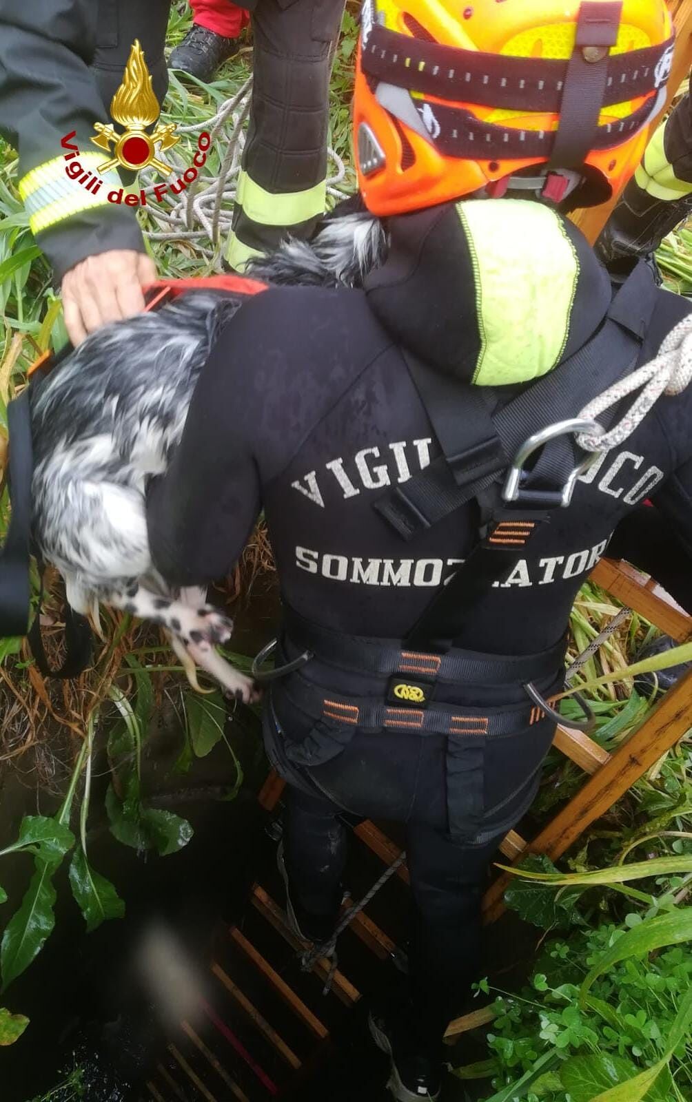 Due cani precipitano in un pozzo a Villasor, salvati dai vigili del fuoco