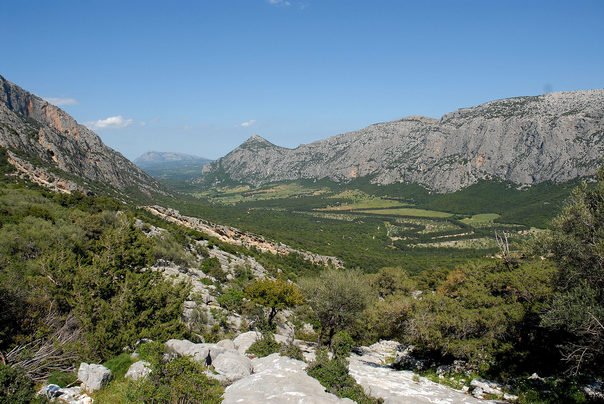 Oliena scommette sulla valle di Lanaitho porta per lo sviluppo economico e sociale del territorio