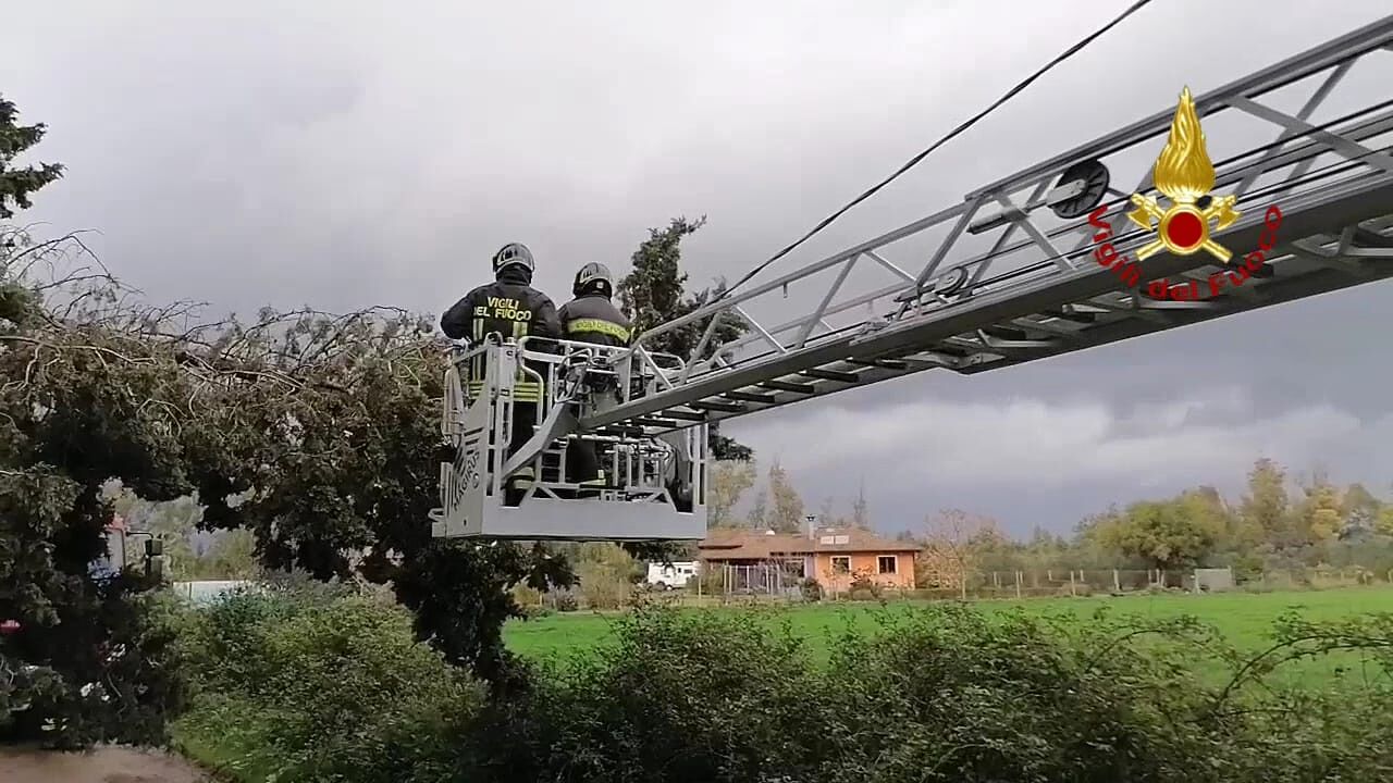 Maltempo, paura a San Sperate: ramo si spezza e cade sui cavi elettrici in tensione