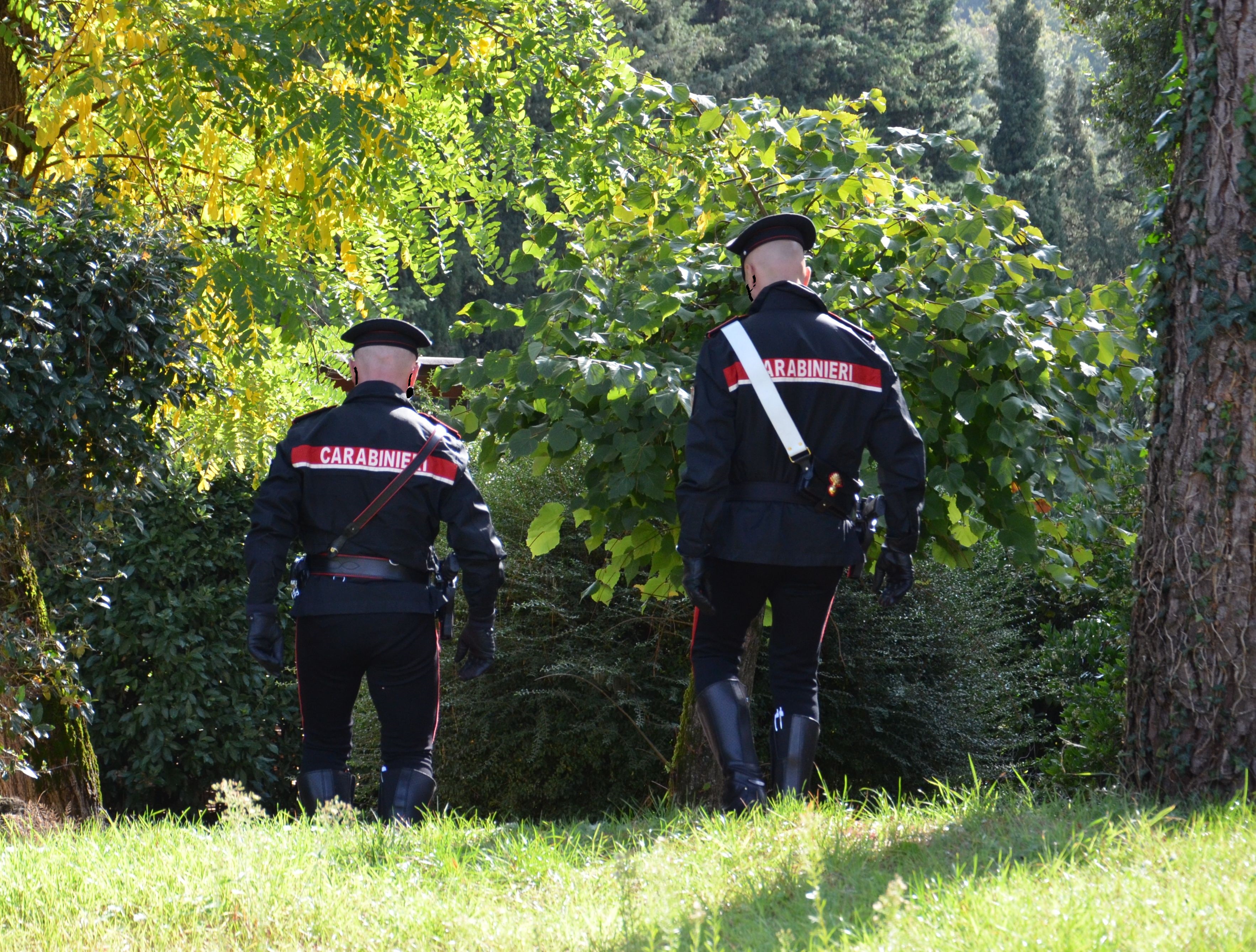 Villasor, cerca asparagi e trova un ordigno bellico della Seconda Guerra Mondiale