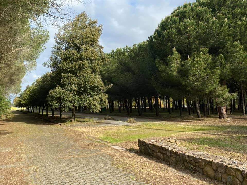 Villasor, la Pineta Su Pardu si fa bella