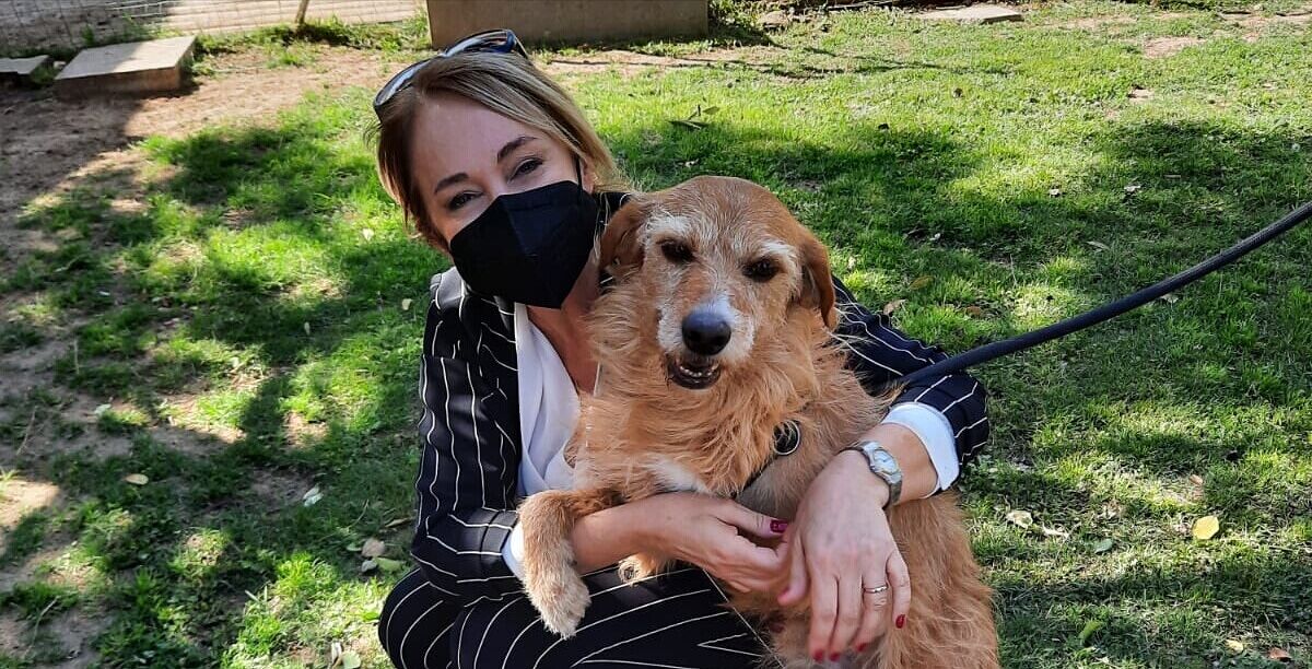 Adotta un cane dal canile di Cagliari, aiutaci a far trovare una famiglia che lo ami per sempre