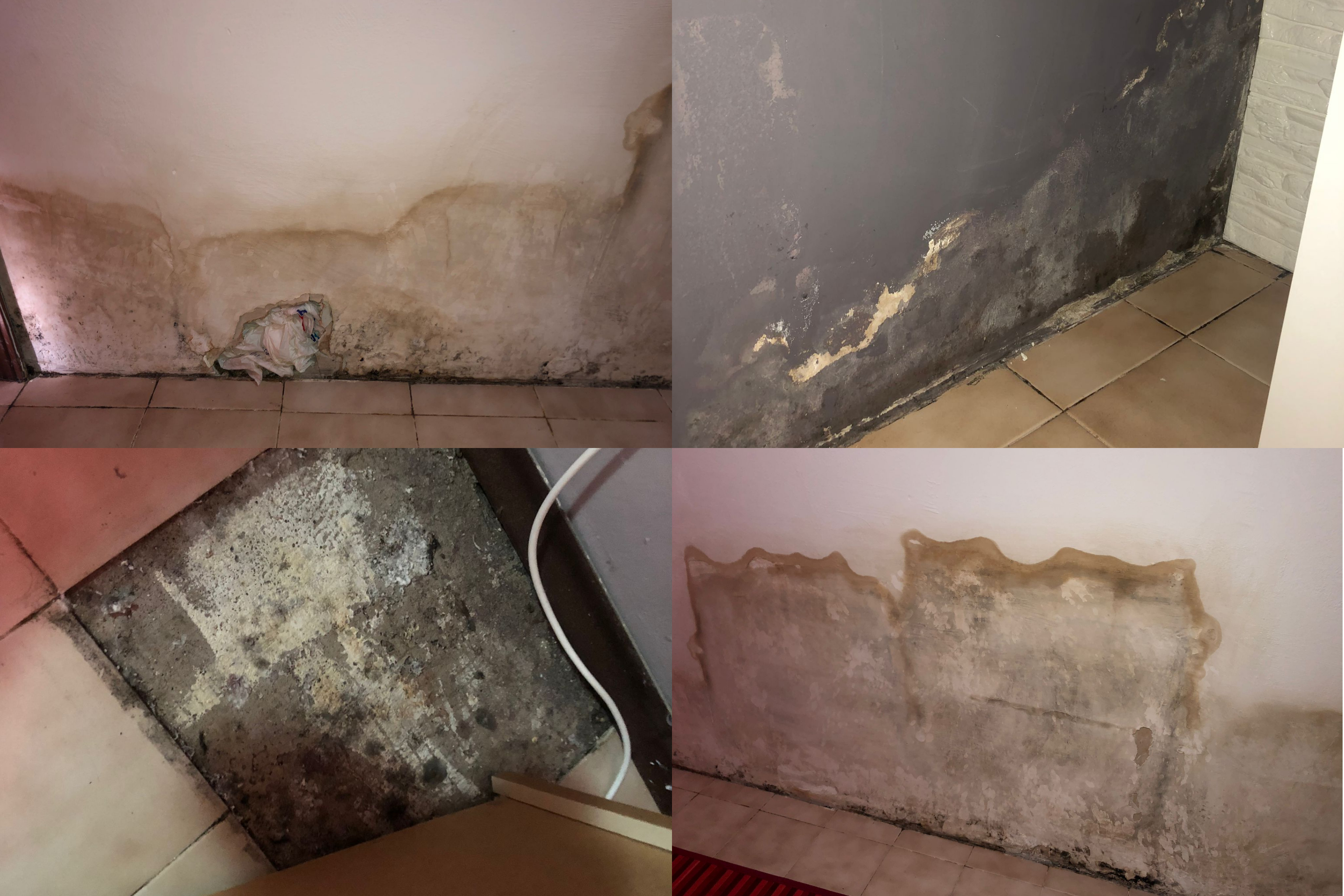 “Cagliari, infiltrazioni dall’appartamento del vicino: ho i funghi dentro casa”