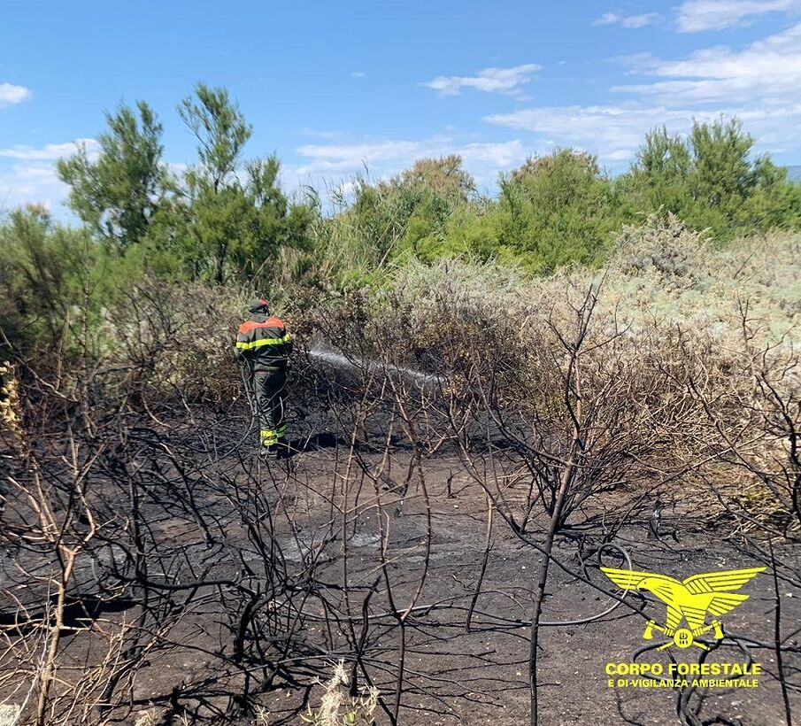 Incendi in Sardegna, oggi se ne contano dieci: elicottero in azione nelle campagne di Lanusei