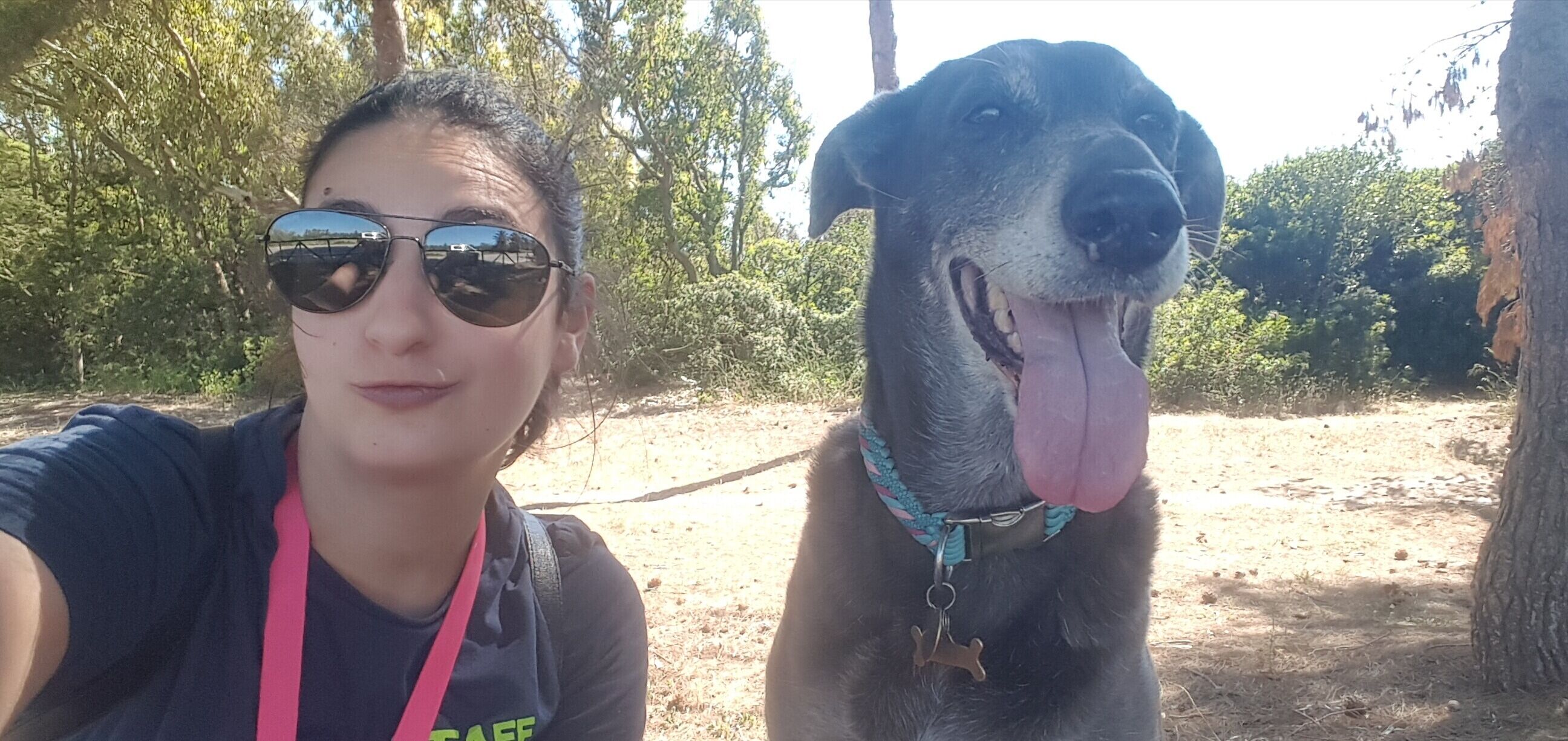 Alessandra Masu, educatrice cinofila ospite a Radio Zampetta Sarda: “Anche i cani vanno all’asilo”