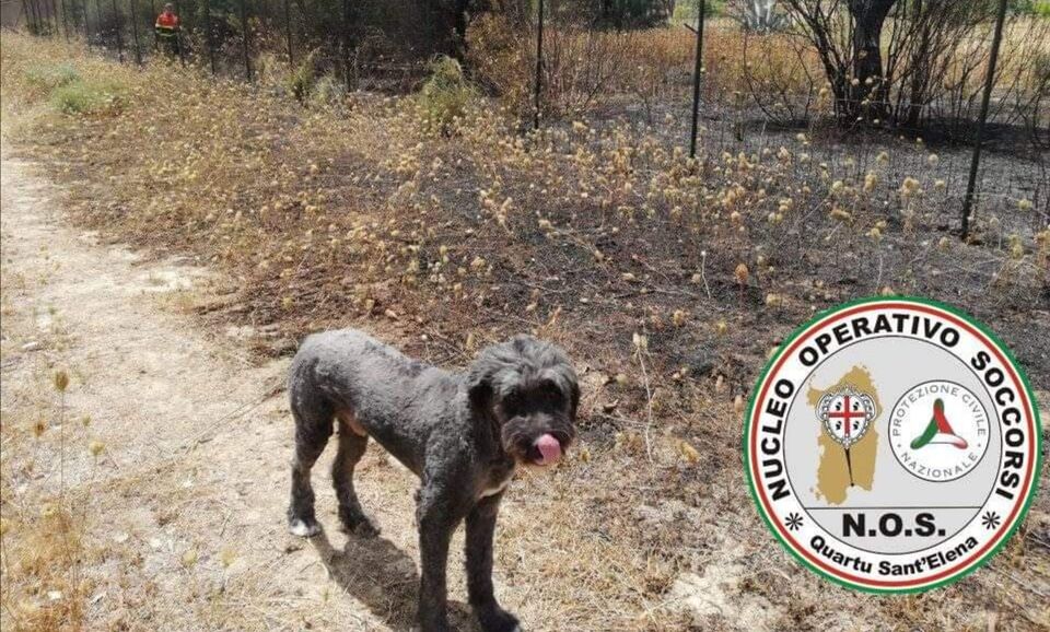 Selargius, casa circondata dalle fiamme: spento l’incendio e messo in salvo anche un cane