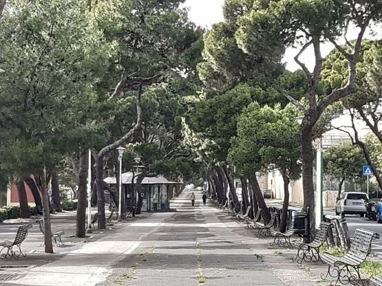 Cagliari, la movida vola a Castello: riaprono i chioschetti in viale Buoncammino