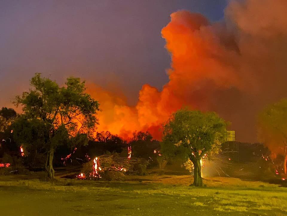 Inferno di fuoco nell’Oristanese, distrutta l’azienda olearia Peddio