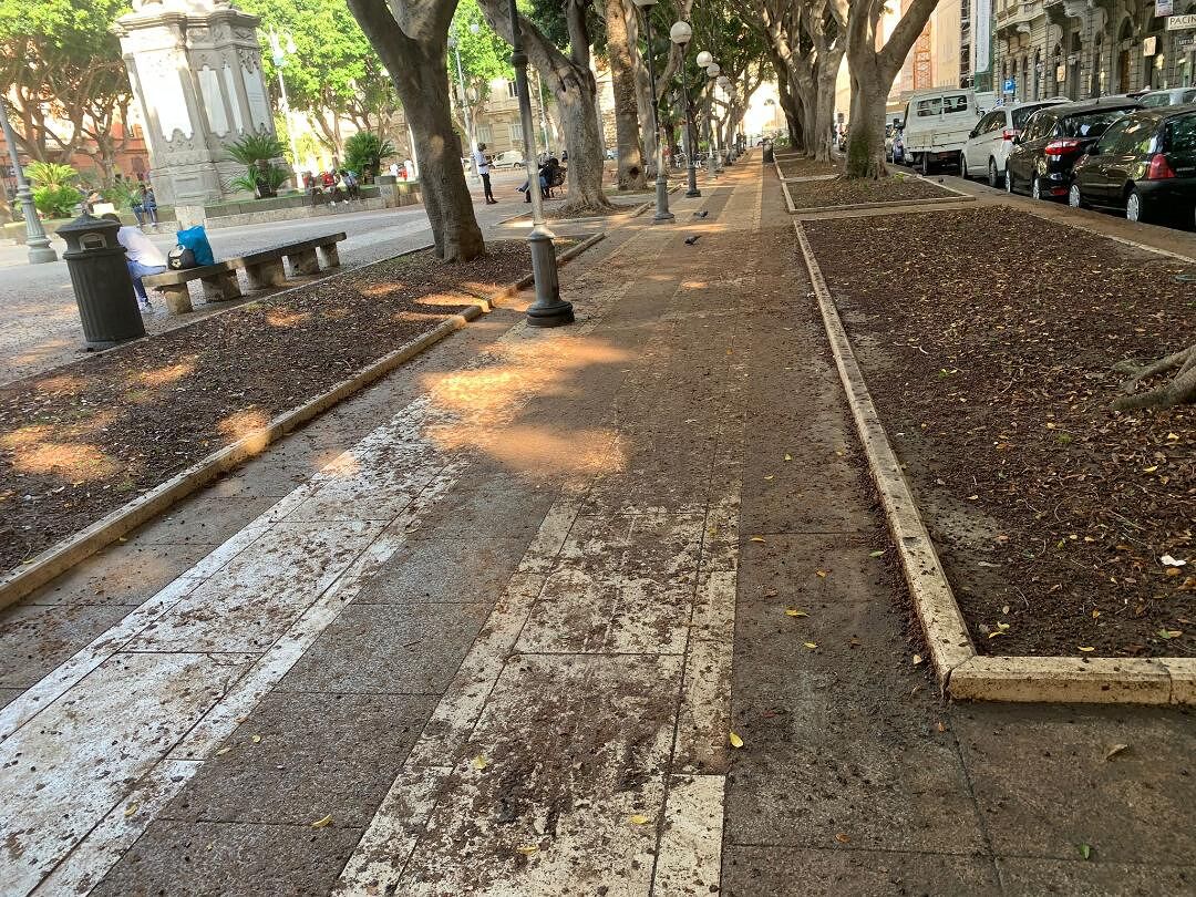 Cagliari, sos sicurezza: “Strade scivolose per colpa delle bacche, troppi pericoli”