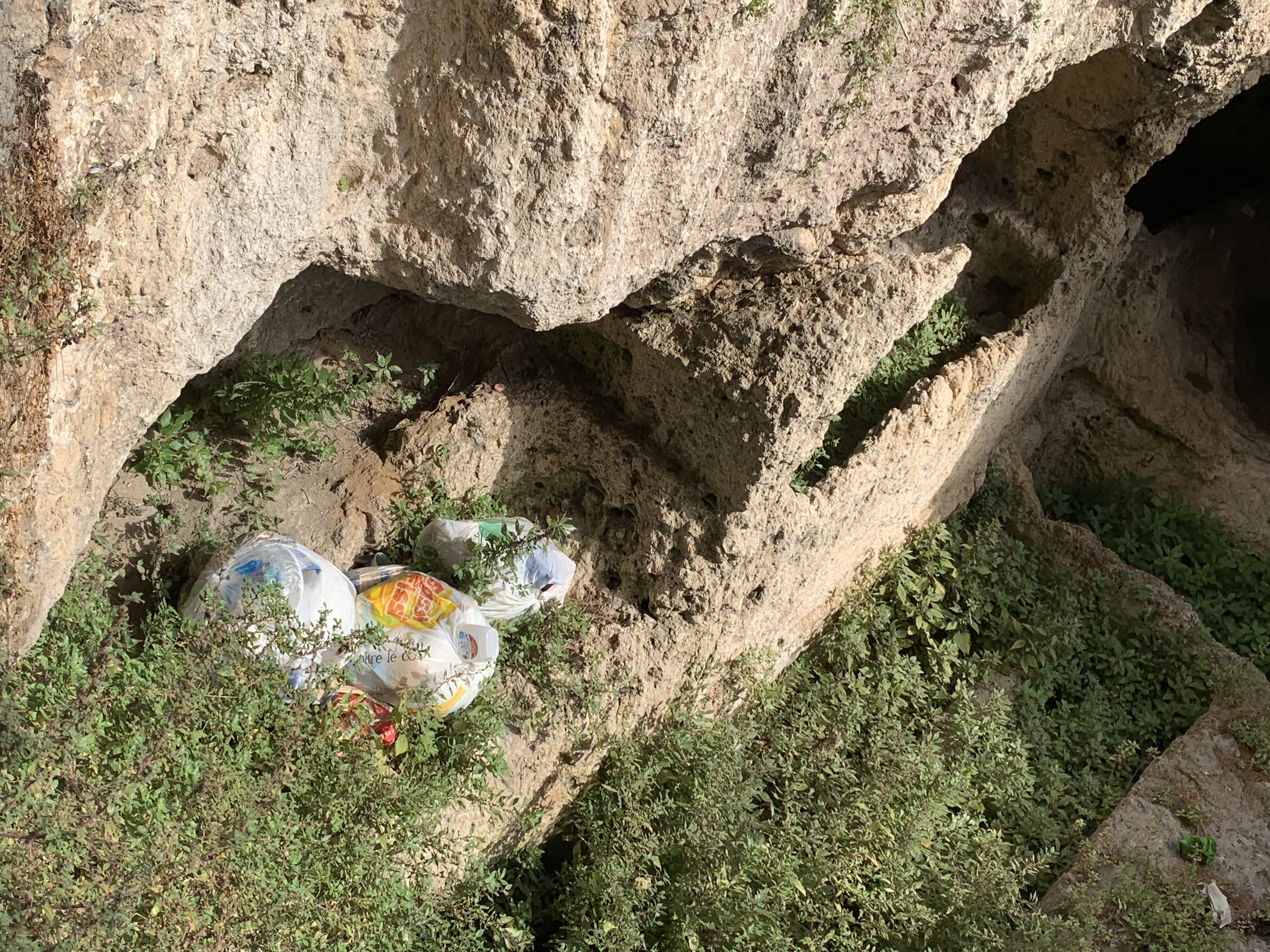 Cagliari, oggi la pulizia dell’area storica e delle tombe antiche a Bonaria