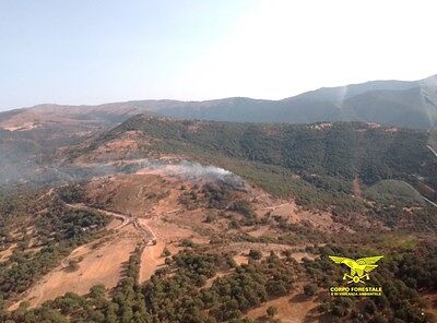 Anche oggi giornata di roghi in Sardegna: elicotteri in azione a Padria e Vallermosa