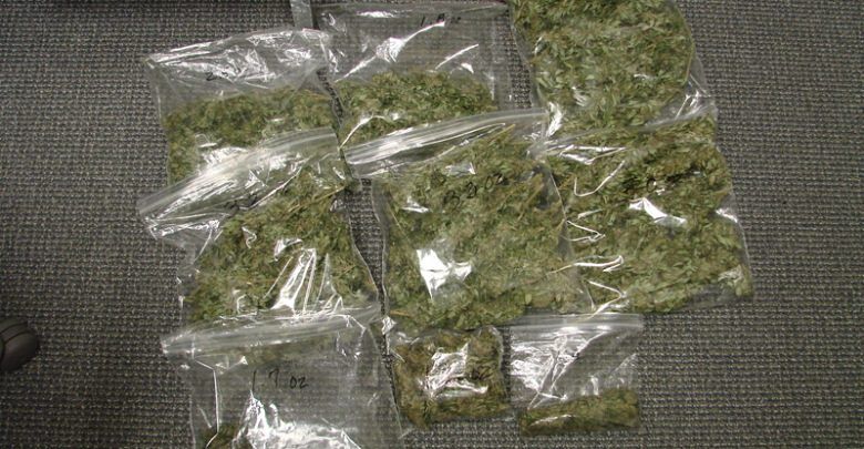 In casa 230 chili di marijuana già imbustata, trio di spacciatori in manette a Marrubiu