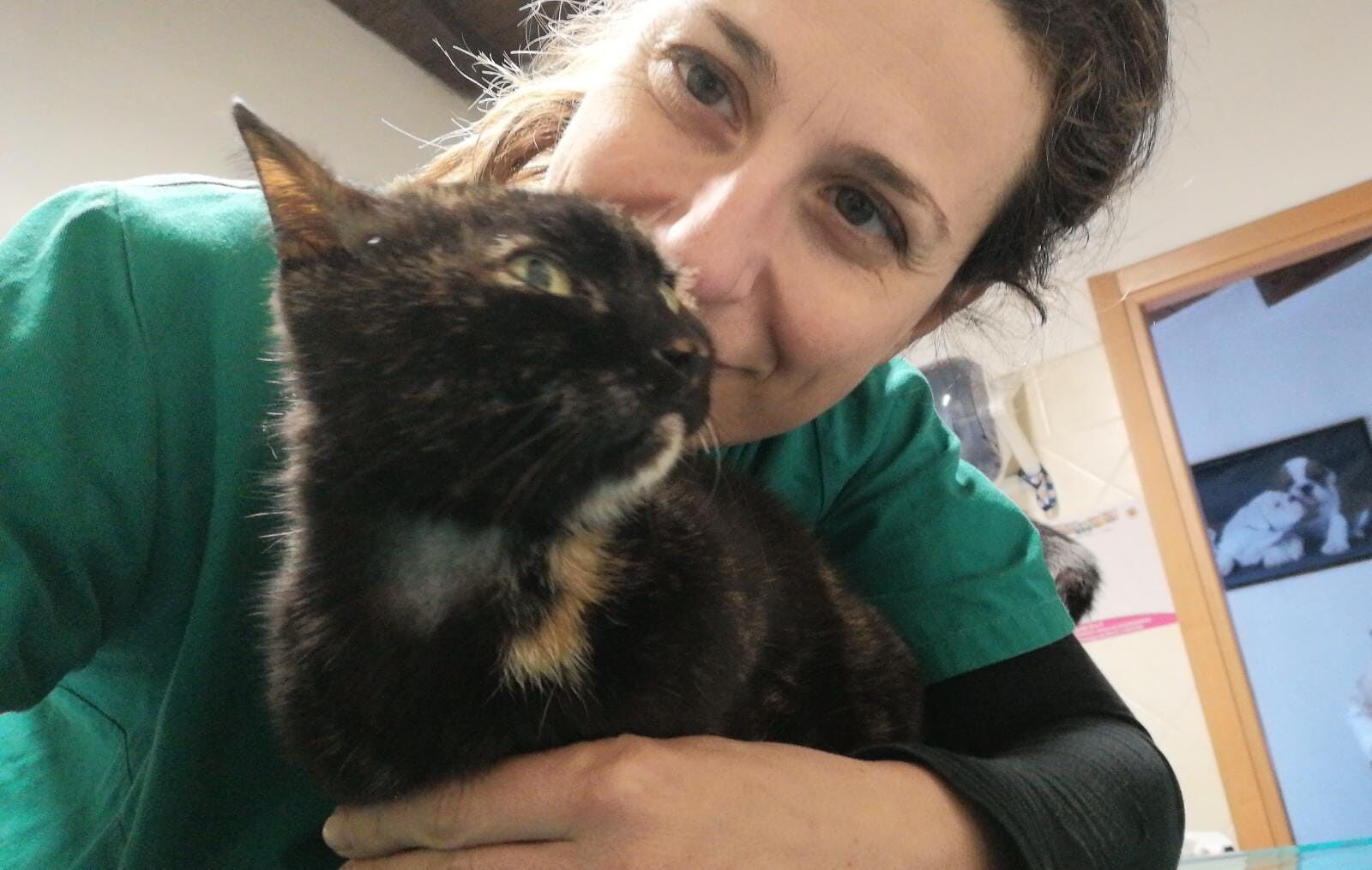 A Radio Zampetta la parola all’esperta: linee guida in caso di smarrimento di cani e gatti